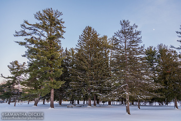 Moonrise at Crandall Park in Glens Falls, 2019
