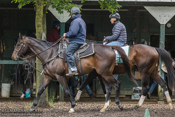 Bill Mott and Sovereignty