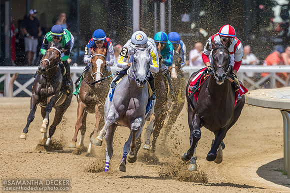 Around the clubhouse turn in the Curlin S.