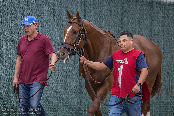 McCullough, winner of R9