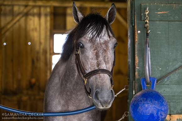 Go Long, John Terranova barn