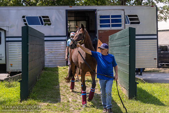 Mary Union Ave arrives at Saratoga