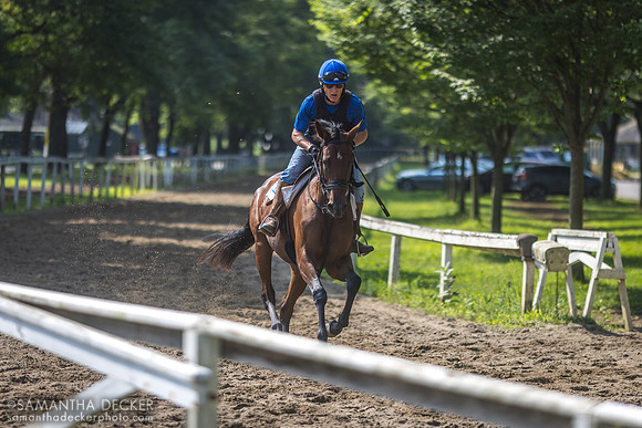 Robbie Davis exercises Mary Union Ave on Clare Court