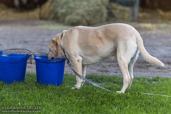 Sonny McPeek has a drink