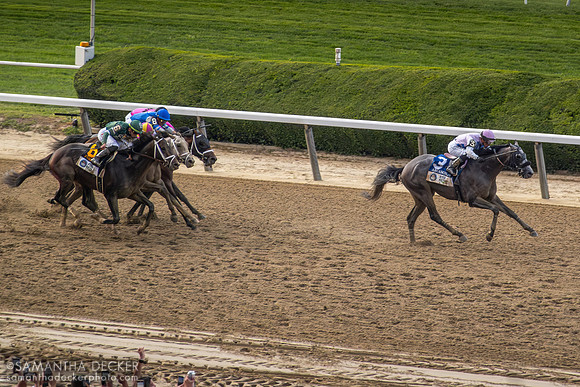 Arcangelo wins the Belmont Stakes, Belmont Park, Elmont, NY