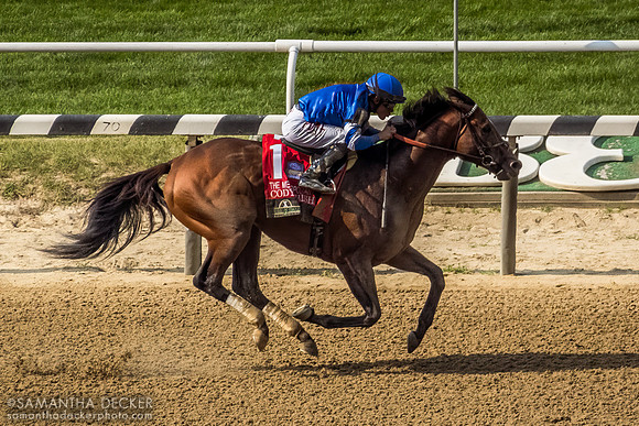 Cody's Wish wins the Met Mile, Belmont Park, Elmont, NY