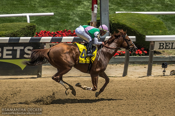 Elite Power wins the Grade II True North Stakes, Belmont Park, Elmont, NY