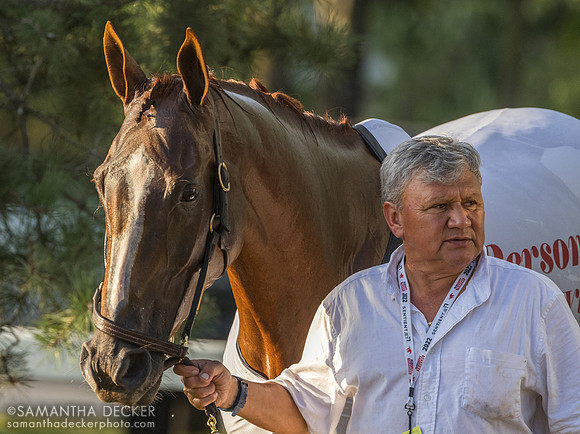 Raging Sea heading back to the barn