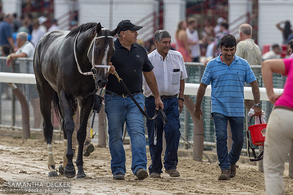 Ferocious wins R6