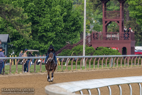 Danny Wright rides Fierceness