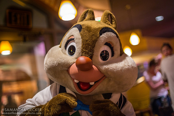 Dale at Goofy's Kitchen, Disneyland Hotel, California