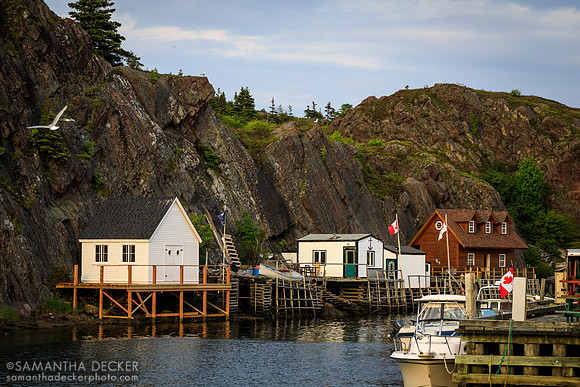 Quidi Vidi, St. John's, NL