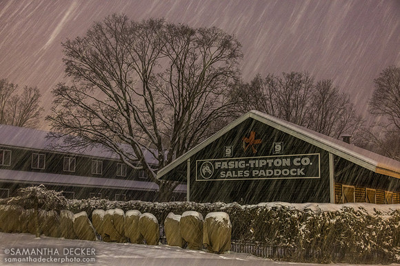 Fasig-Tipton in Winter