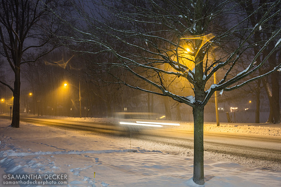 Union Ave. in Winter, 2024