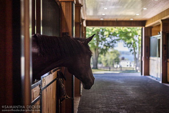 Old Tavern Farm, Saratoga Springs, NY