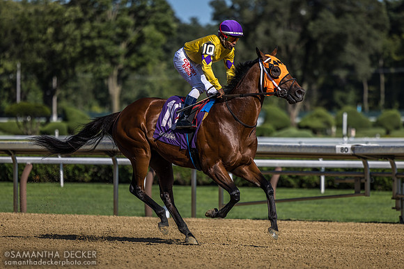 Run Carson