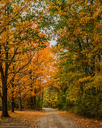 Granville, NY