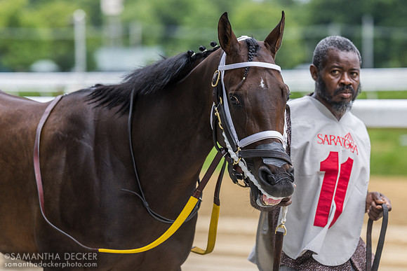 The Queens MG heads to the paddock for the Schuylerville S.