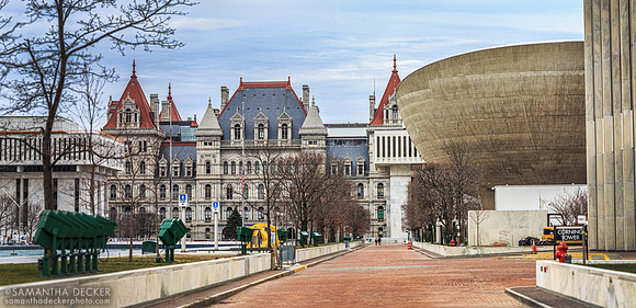 New York State Capitol and the Egg