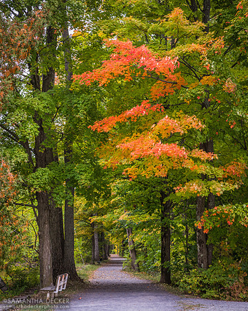 Feeder Canal Park, Queensbury, NY