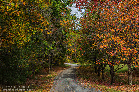 Granville, NY