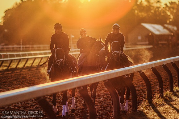 Oklahoma Training Track, 2013