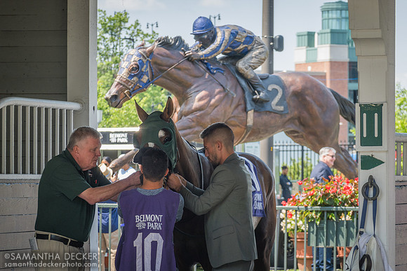 Cindylouwho is saddled for a maiden race at Belmont Park on Belmont Stakes Day