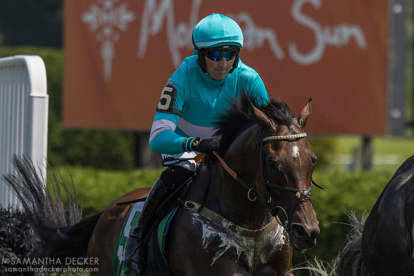 Jimmy P wins the Jonathan Sheppard H.