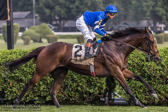 Silver Knott wins the Bowling Green S.