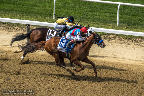 Arabian Lion wins the Grade I Woody Stephens Stakes, Belmont Park, Elmont, NY