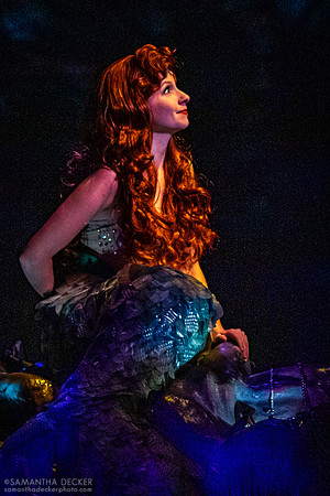 Voyage of the Little Mermaid, Disney's Hollywood Studios