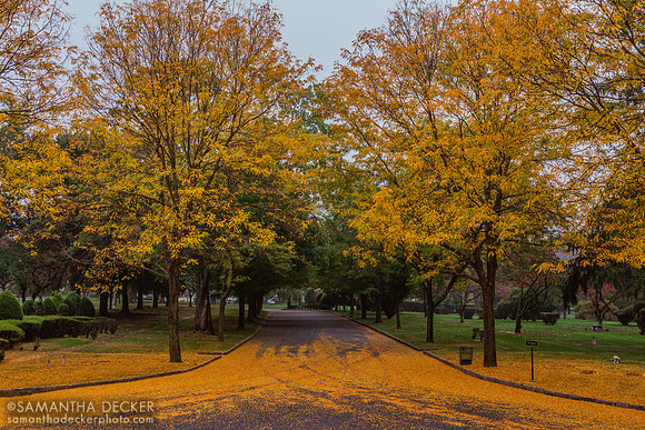 Ferncliff Cemetery and Mausoleum, Hartsdale, NY