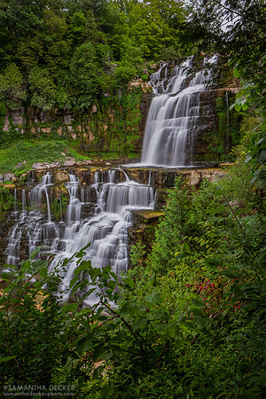 Chittenango Falls, NY, 2012