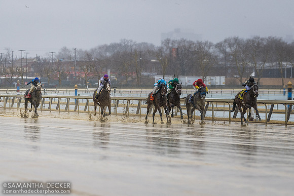Maiden Special Weight at Aqueduct