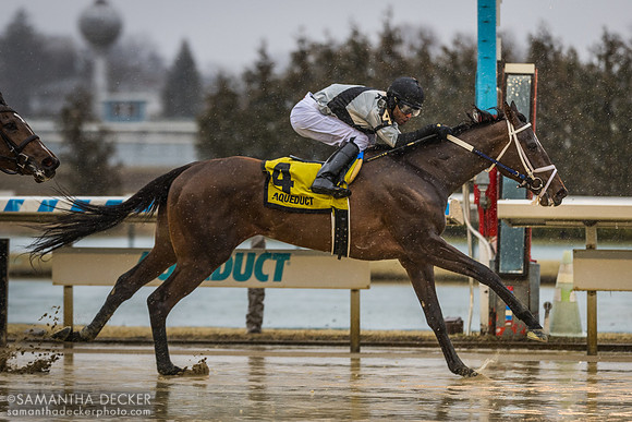 Mitole's Girl breaks her maiden at Aqueduct