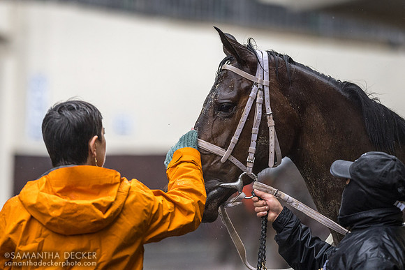 Pets for Mary Union Ave at Aqueduct