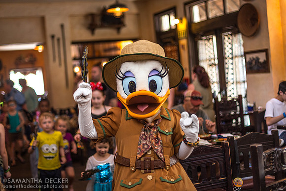 Daisy Leading the Parade at Tusker House, Disney's Animal Kingdom