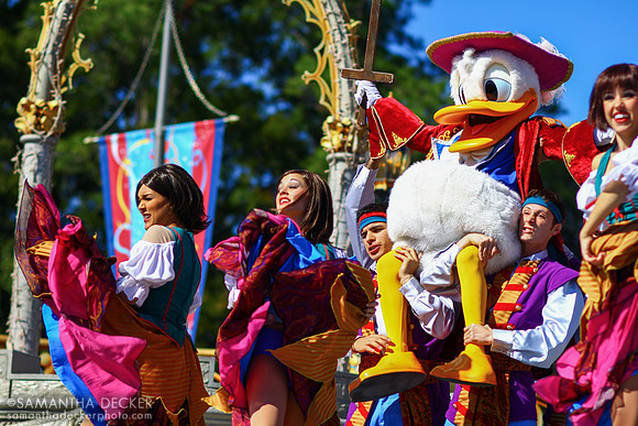 Donald and Friends, Dream Along with Mickey, Magic Kingdom