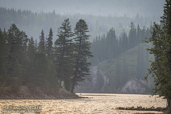 Athabasca River, Jasper National Park