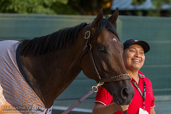 Fierceness heads back to the barn
