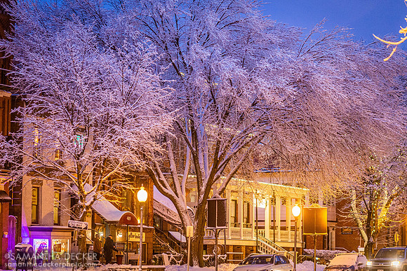 Broadway in Winter, Take 2
