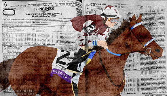 Thorpedo Anna winning the Breeders' Cup Distaff