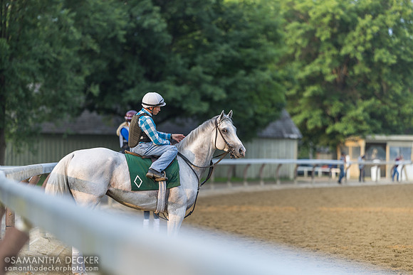 Arthur's Ride, Neil Poznansky up