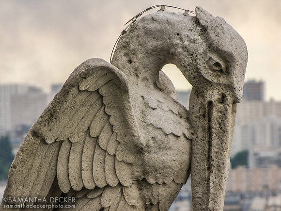 Swan Statue, Notre-Dame de Paris