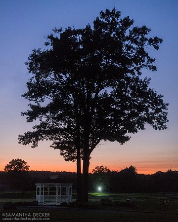 Sunset Silhouette, Saratoga National Golf Course, Saratoga Springs, NY, 2019