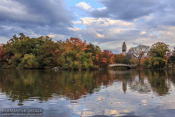 Central Park, New York City