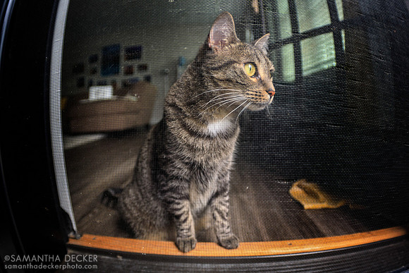 Can I Come Outside?