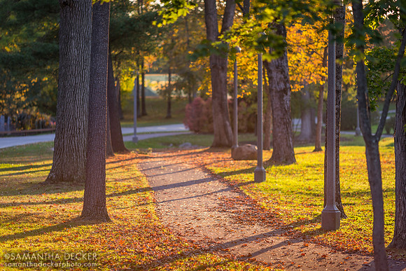Skidmore College, Saratoga Springs, NY