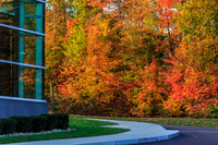 Skidmore College