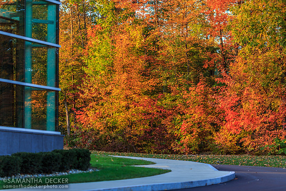 Skidmore College